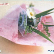 81日本